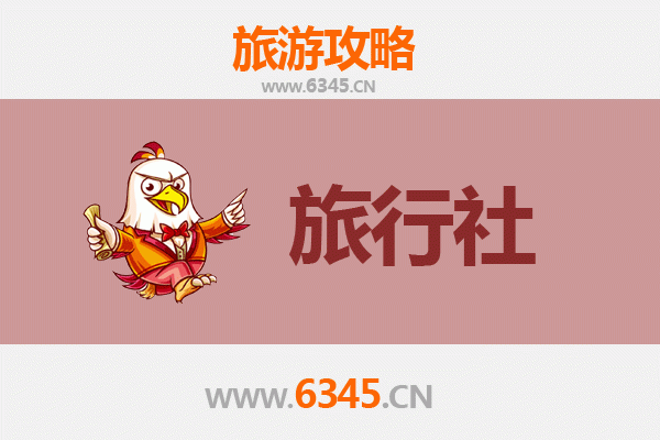 中卫海原旅游攻略：本地旅行社推荐与深度游玩指南