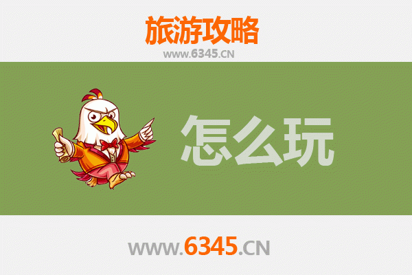 节假日中卫旅游全攻略：沙漠星空与黄河文化的完美之旅